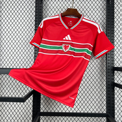 Pays de Galles Maillot CDM 2026