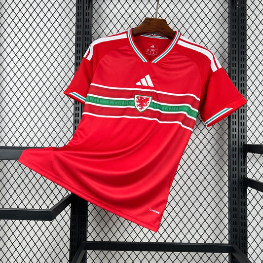Pays de Galles Maillot CDM 2026