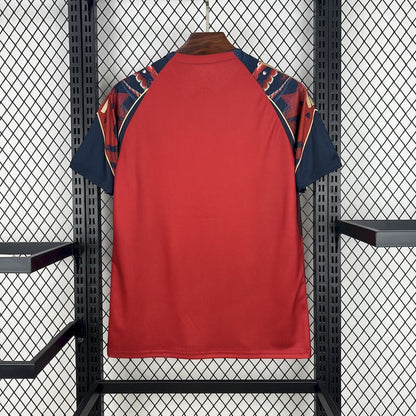 Manchester United Maillot Concept 25/26
