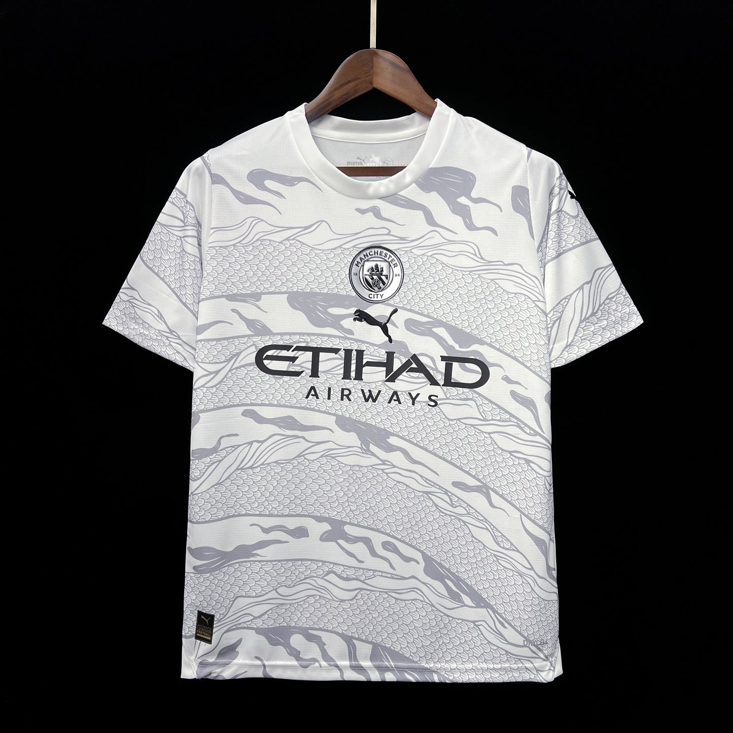 Manchester City Maillot Concept 24/25